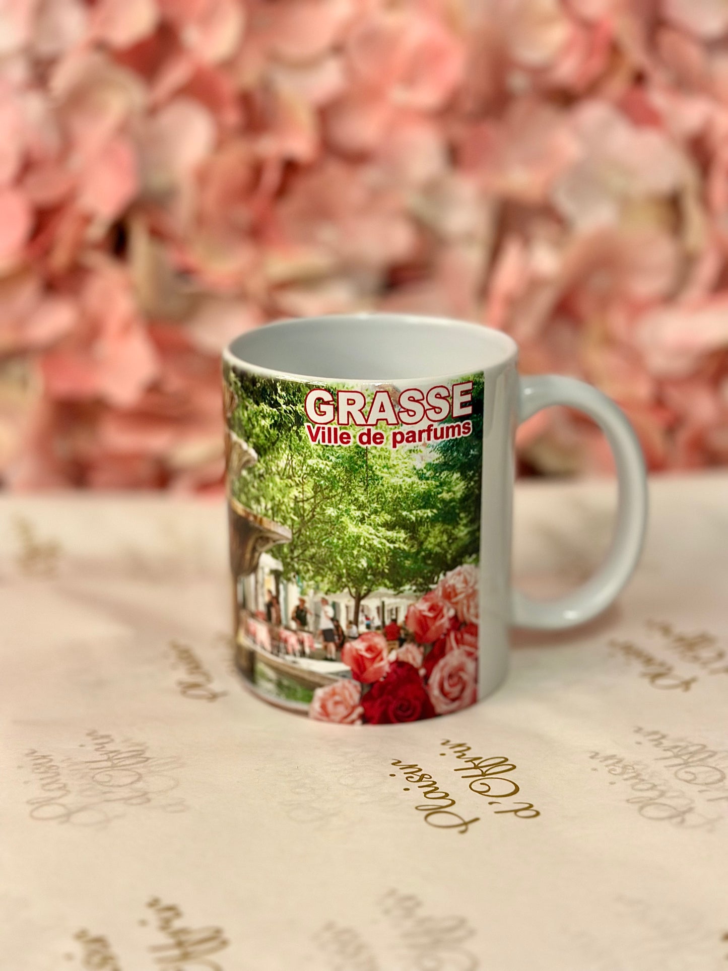 Tasse Grasse - Fontaine "Place Aux Aires"